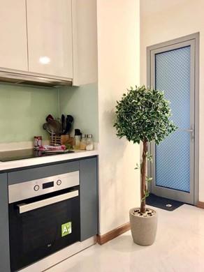 Apartment for rent BT105P2904 (9)